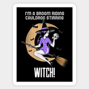 I'M A BROOM RIDING CAULDRON STIRRING WITCH Sticker